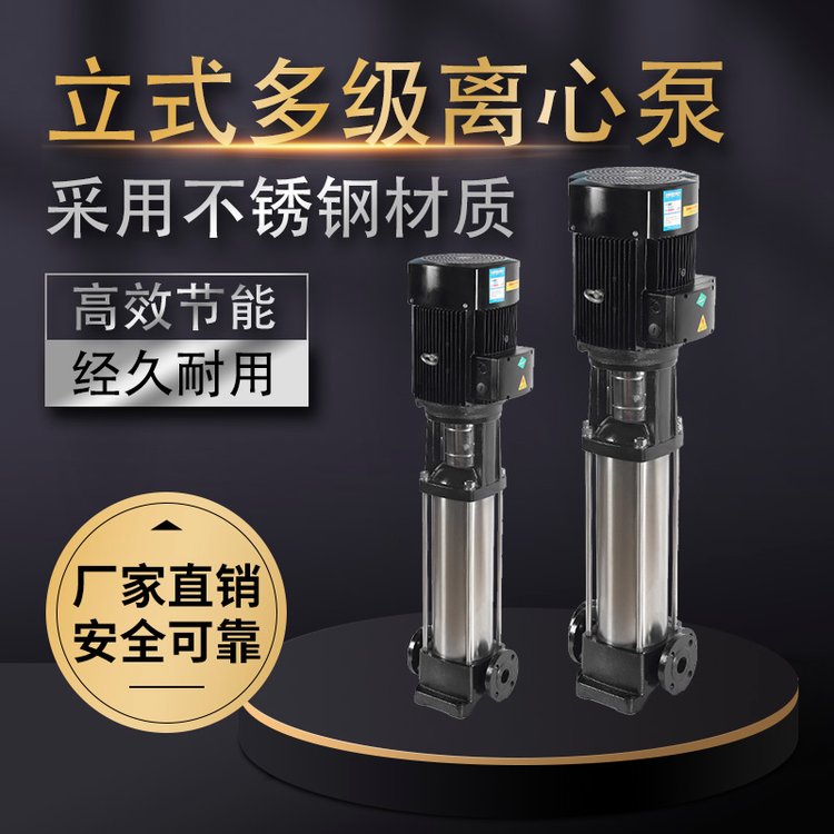 立式多級(jí)泵4 立式多級(jí)泵4